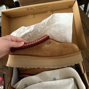Ugg Tazz Platform Slipper Chestnut
